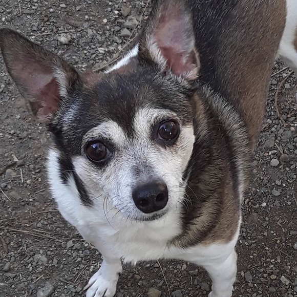 Meet your Posher, Carol - Picture 9 of 16